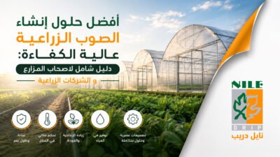 الصوب الزراعية