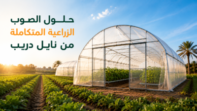 الصوب الزراعية 
